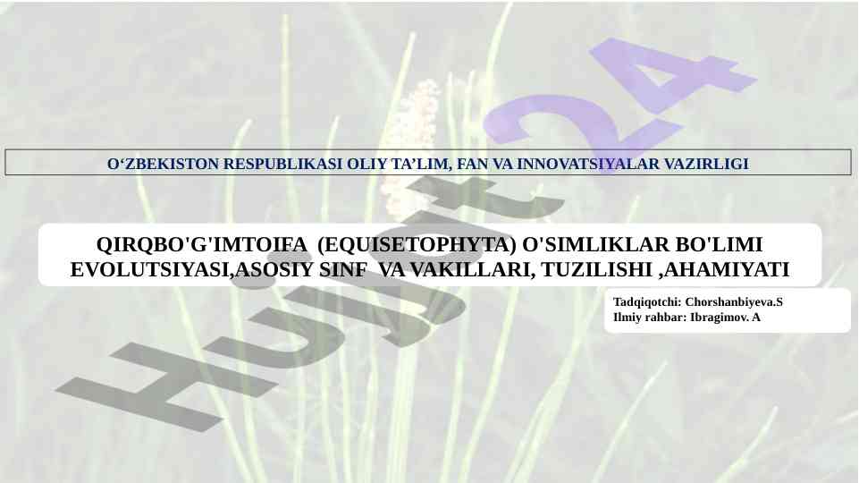 Qirqbo'g'imtoifa o'simliklar evolutsiyasi va ahamiyati