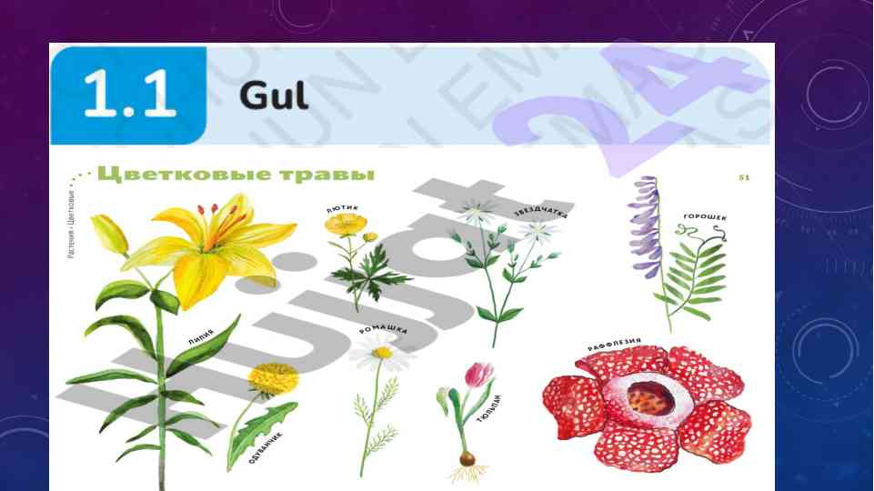 Gul bargini yopishtirib kelish topshiriqlari
