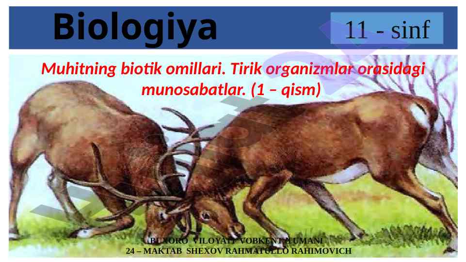 Muhitning biotik omillari va tirik organizmlar