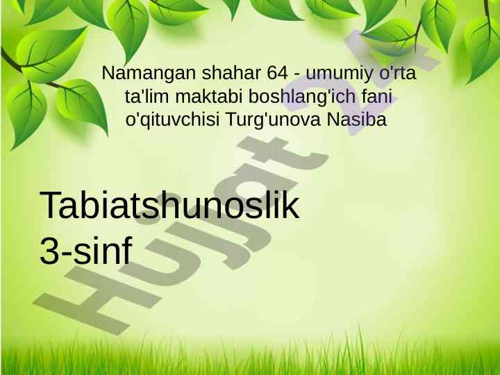 Suvda yashaydigan hayvonlar haqida ma'lumotlar