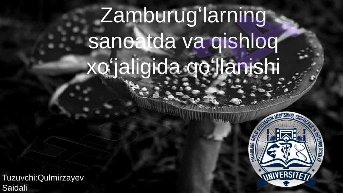 Zamburug'larning sanoat va qishloq xo'jaligidagi o'rni