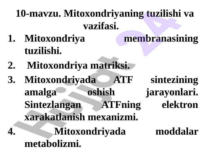 Mitoxondriyaning tuzilishi va vazifasi