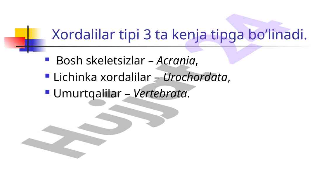 Xordalilar tipi va qushlarning ekologiyasi