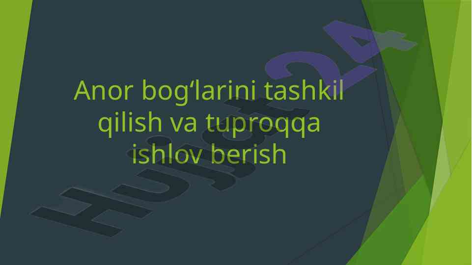 Anor bog‘lari tashkil qilish va tuproqqa ishlov berish