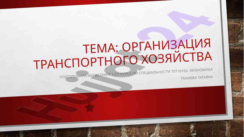 Organizatsiya transportnogo khozyaystva i transportnye operatsii