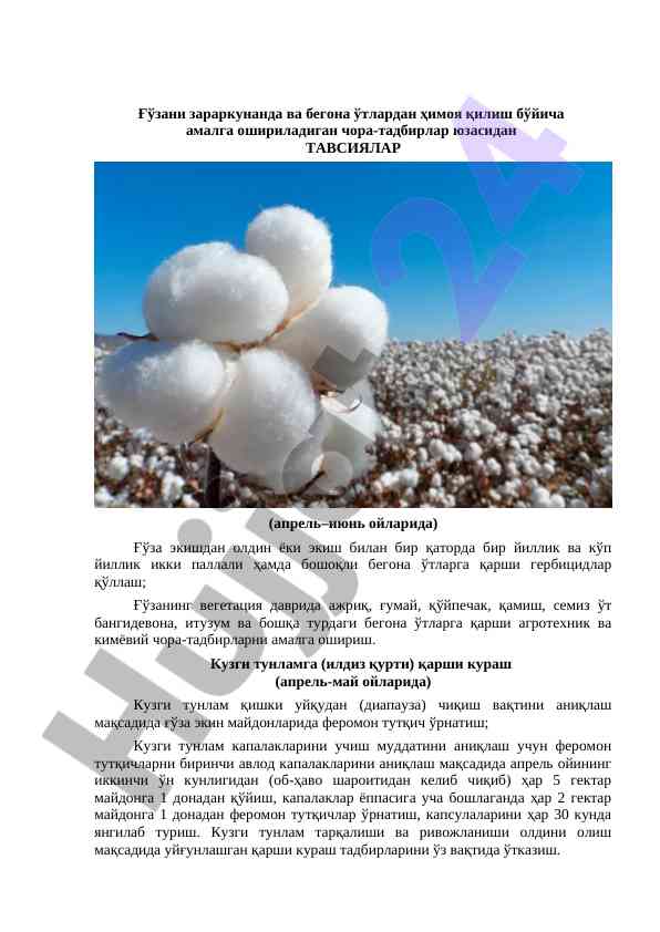 Ғўза ўtlaridan ҳимоя қилиш бўйича тавсиялар