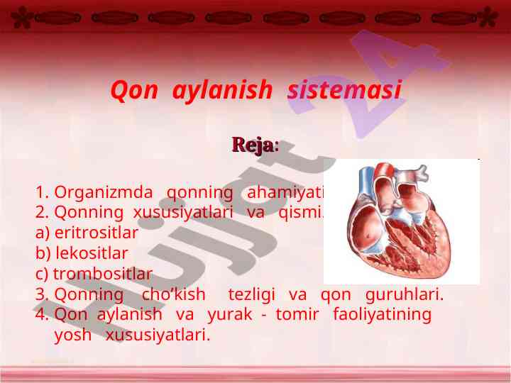 Qon aylanishi sistemasi tafsilotlari