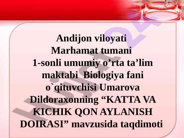 Katta va kichik qon aylanish doirasi taqdimoti