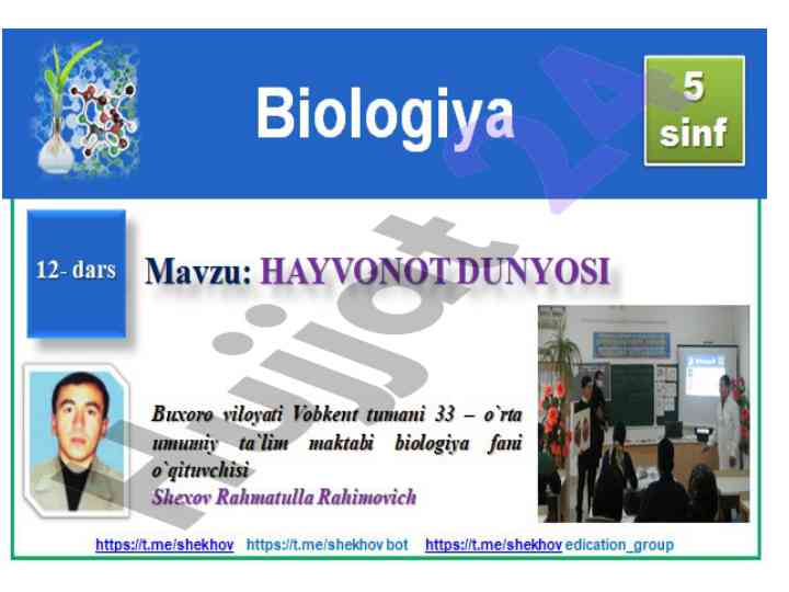 Dorivor o`simliklar va hayvonot dunyosi