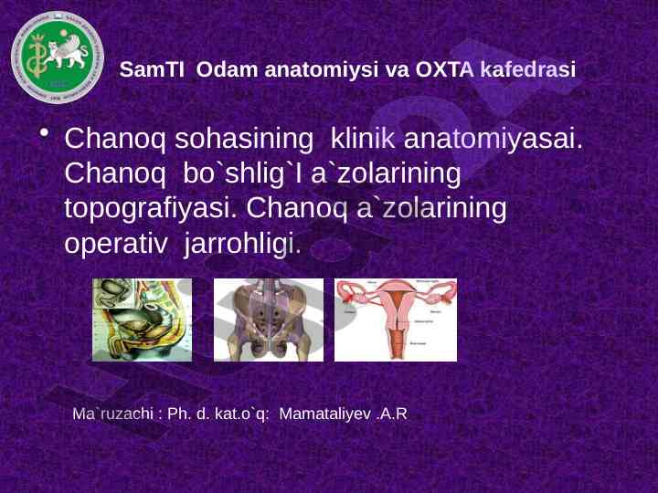 Chanoq bo'shlig'ining klinik anatomiyasi tavsifi