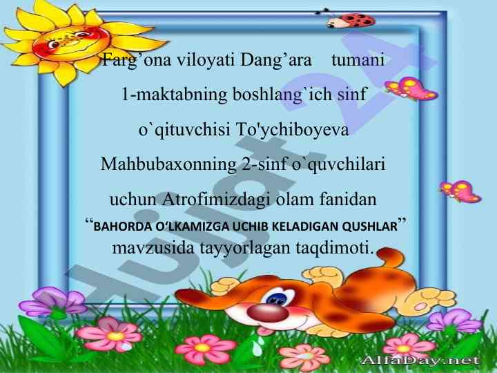 Bahorda o‘lkamizga uchib keladigan qushlar taqdimoti