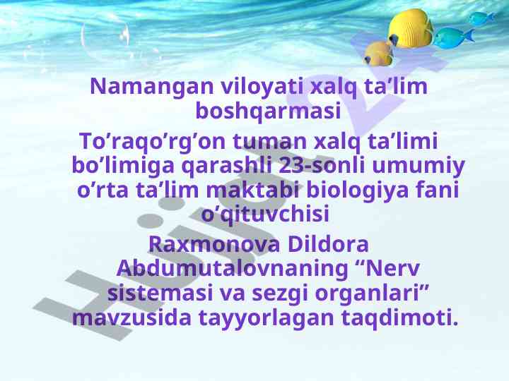 Nerv sistemasi va sezgi organlari taqdimoti