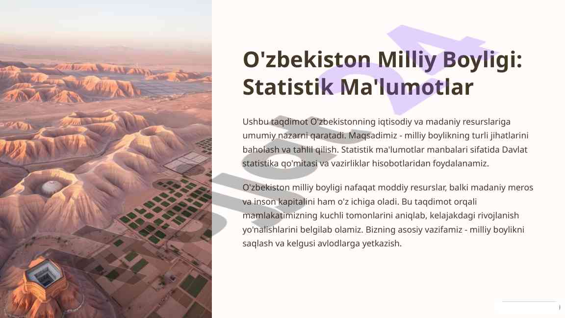 O'zbekiston milliy boyligi: statistik ma'lumotlar