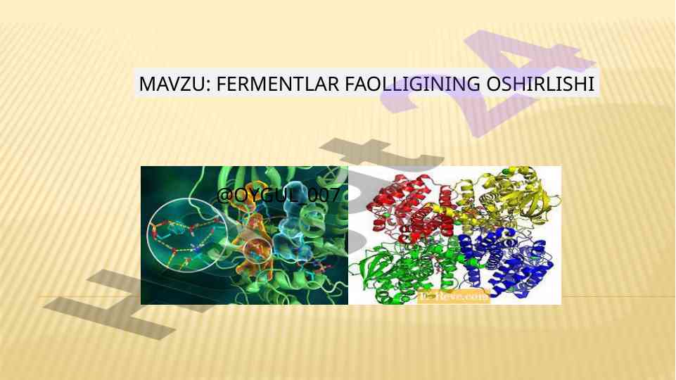 Fermentlarning faolligini oshirish tibbiyotda