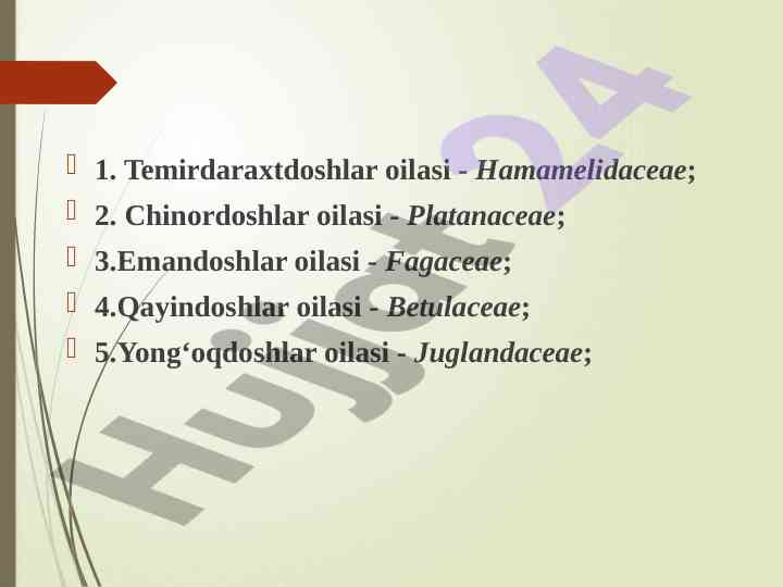Temirdaraxtdoshlar oilasi va tegishli o‘simliklar