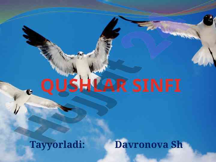 Qushlar sinfi va ularning tashqi tuzilishi