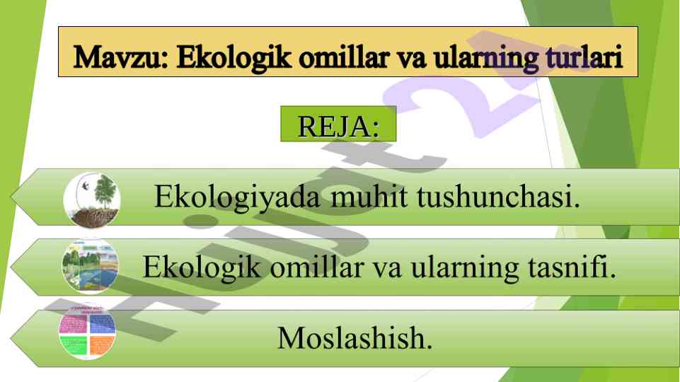 Yashash muhiti va ekologik omillar tushunchasi
