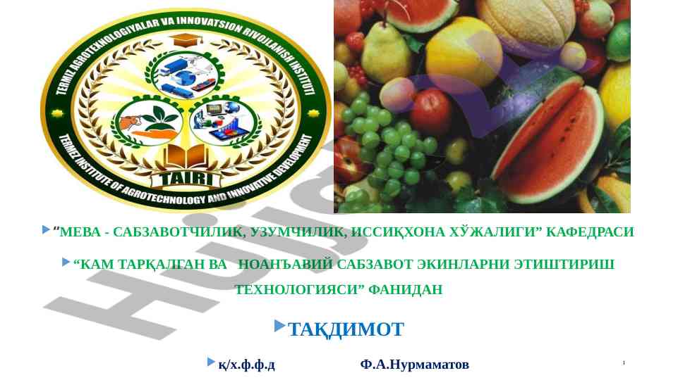 Kam tarqalgan kokat sabzavotlarining ahamiyati