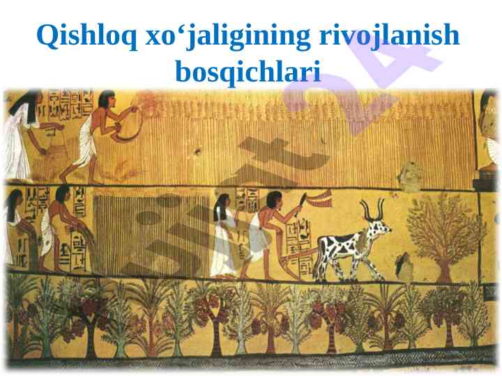 Qishloq xo‘jaligining rivojlanish bosqichlari