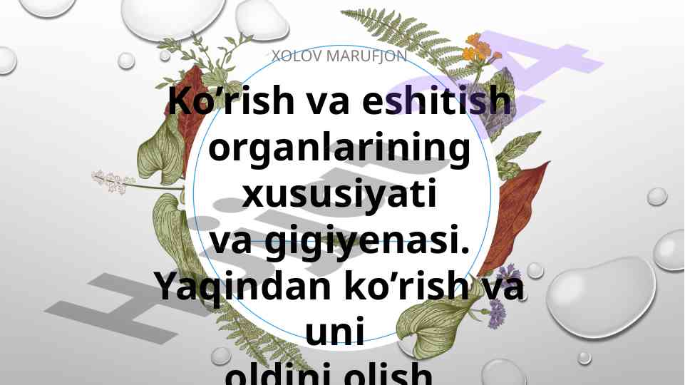 Ko’rish va eshitish organlarining gigiyenasi
