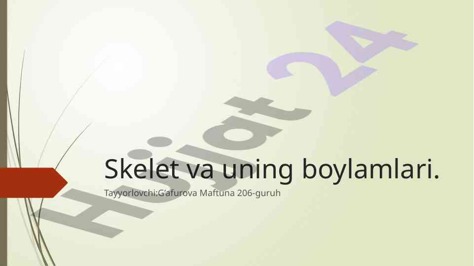 Skelet va uning boylamlari haqida umumiy ma'lumot