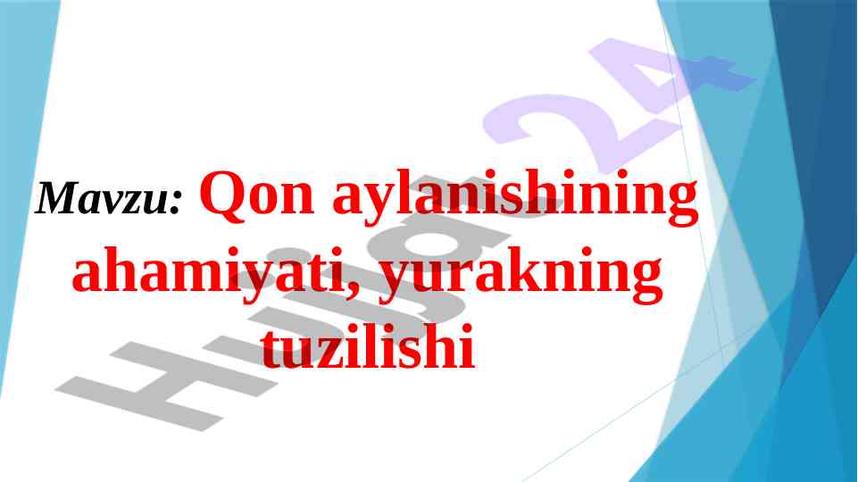 Qon aylanishining ahamiyati va yurak tuzilishi