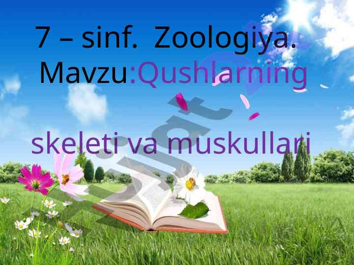 Qushlarning skeleti va muskullari dars ishlanmasi