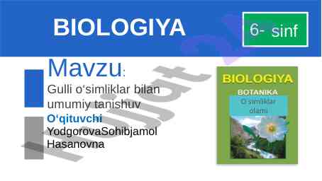 Gulli o‘simliklar bilan umumiy tanishuv
