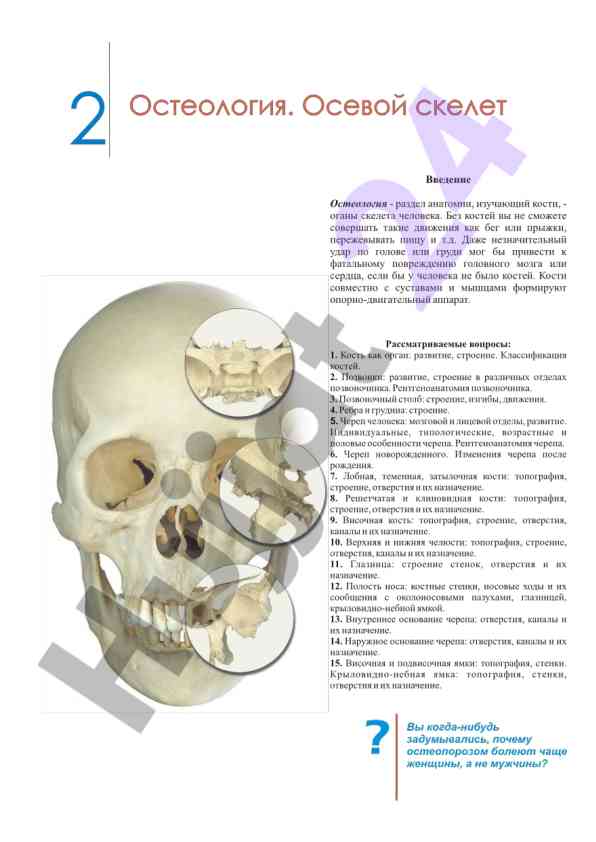 Остеология. функции и строение костей человека