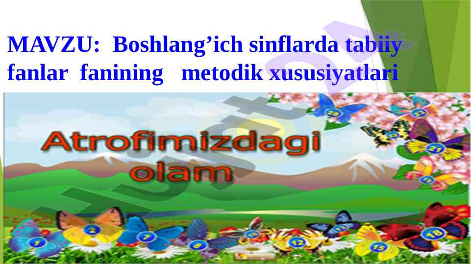 Boshlang'ich sinflarda tabiiy fanlar o'qitish metodlari