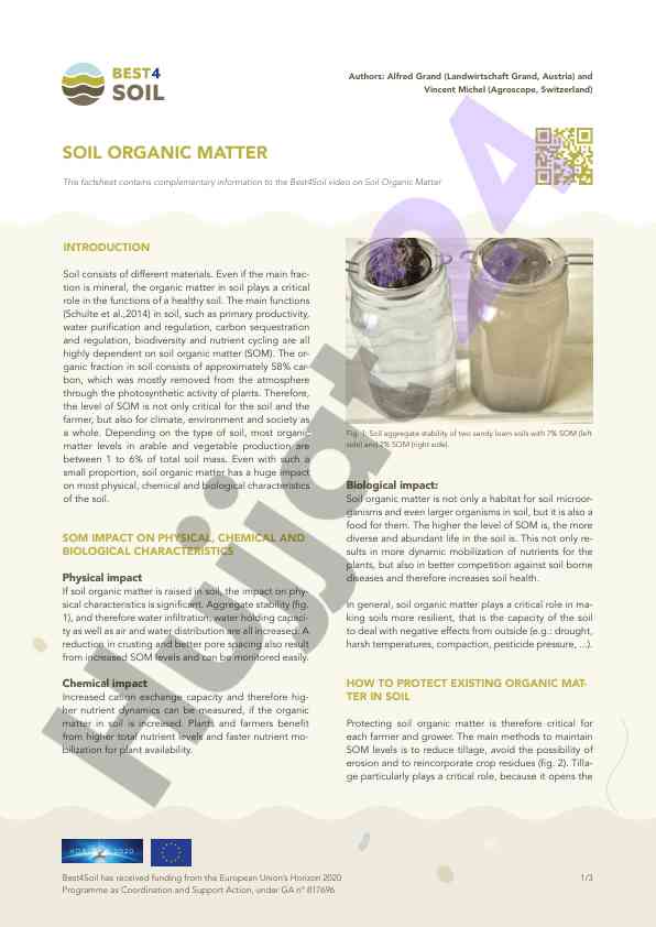 Soil organic matter and its importance for ecosystems