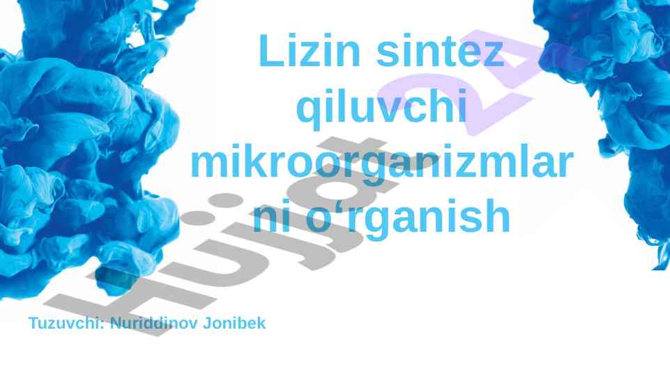 Lizin sintesi mikroorganizmlariga oid tadqiqot