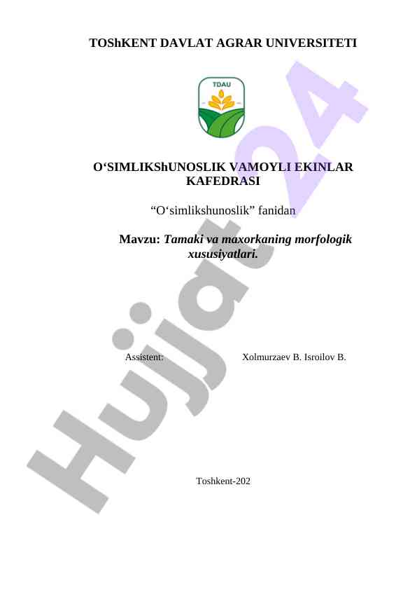 Tamaki va maxorkaning morfologik xususiyatlari