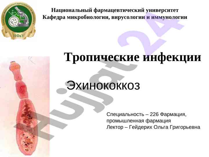 Эхинококкоз: определение, этиология и лечение
