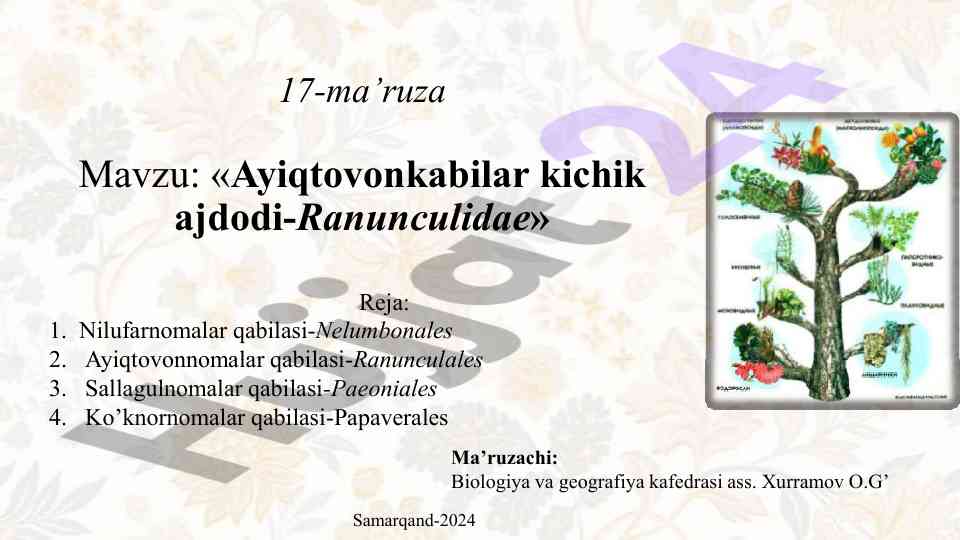 Ayiqtovonkabi ajdodi tahlili va tizimlashuvi