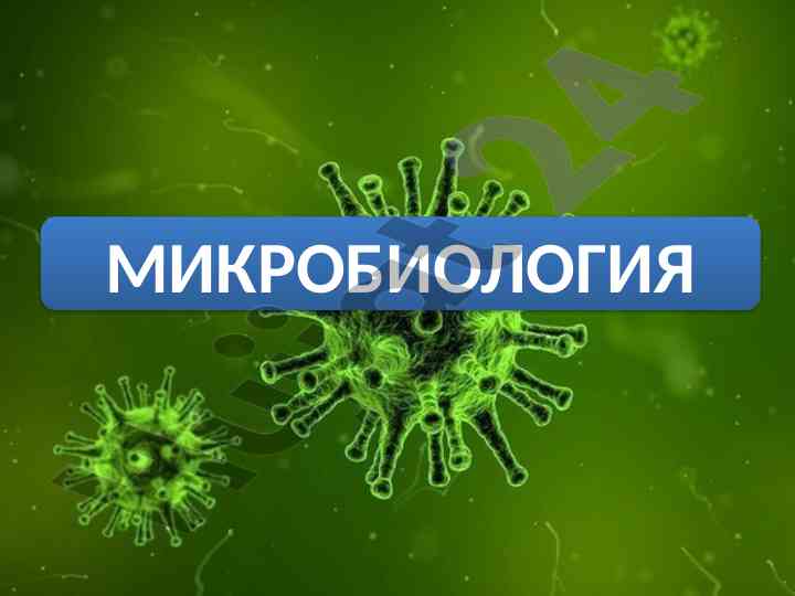 Mikroorganizmlarning oziqlanishi tushunchalari