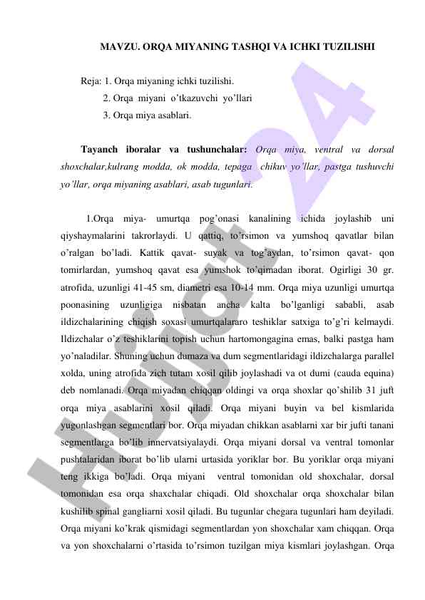 Orqa miyaning tashqi va ichki tuzilishi