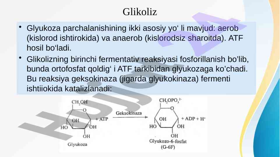 Sylvester Stallone porno video onlayn