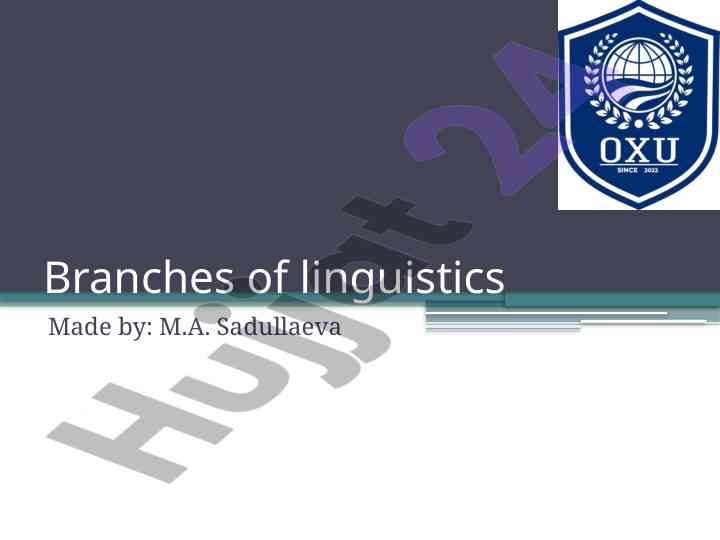 Branches of linguistics overview and studies