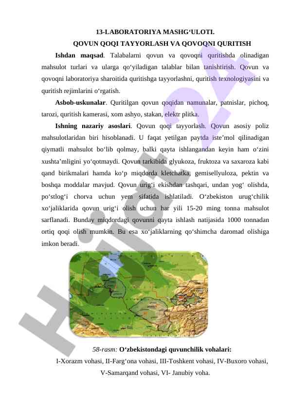 Qovun va qovoqni quritish texnologiyasi