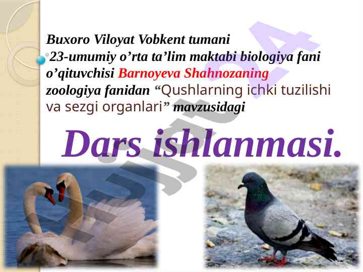 Qushlarning ichki tuzilishi va sezgi organlari