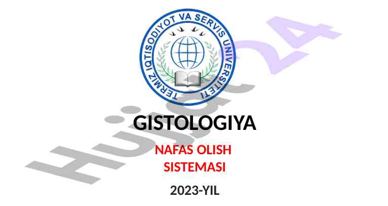 Gistologiya nafas olish tizimi 2023 yil reja