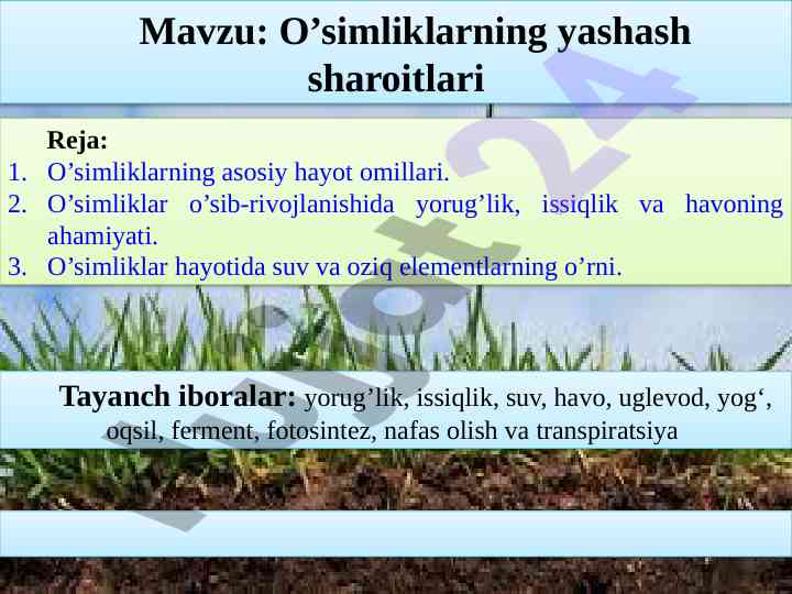 O'simliklarning yashash sharoitlari tahlili