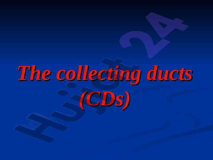 Functions and mechanisms of collecting ducts in kidney