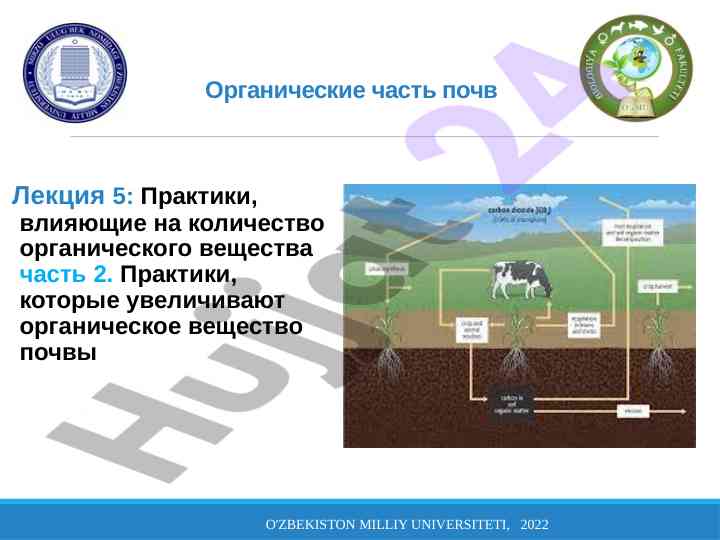 Практики увеличения органического вещества почвы