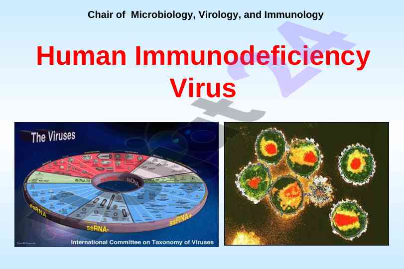 Aids epidemiology and its historical context