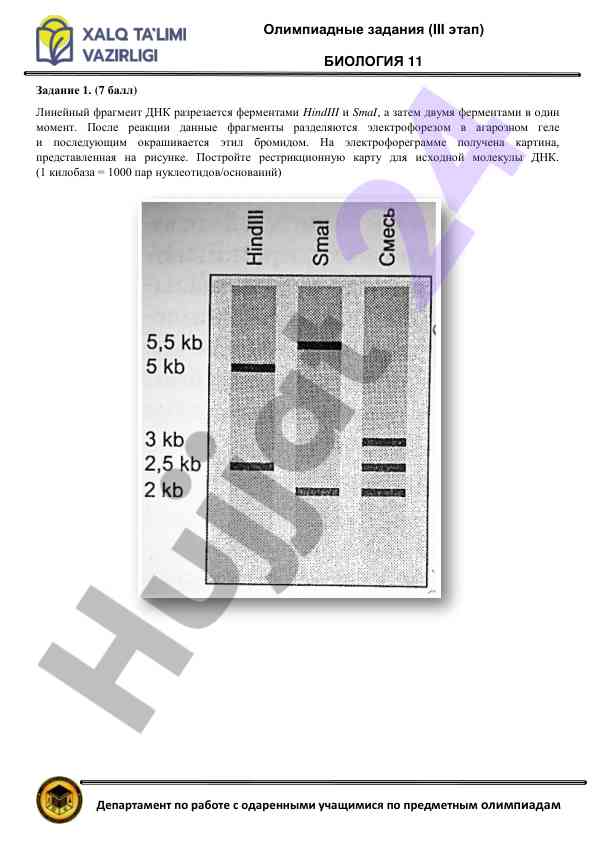 Olimpiya zadalari biologiya 11 eтап
