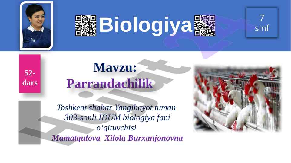 Xonaki parrandalar zotlarining xilma-xilligi