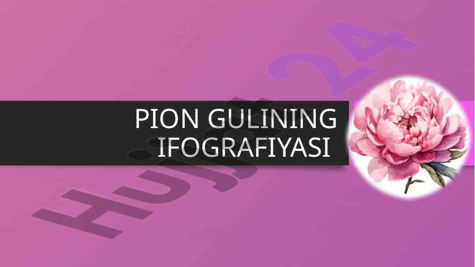Pion guli haqida ma'lumotnoma