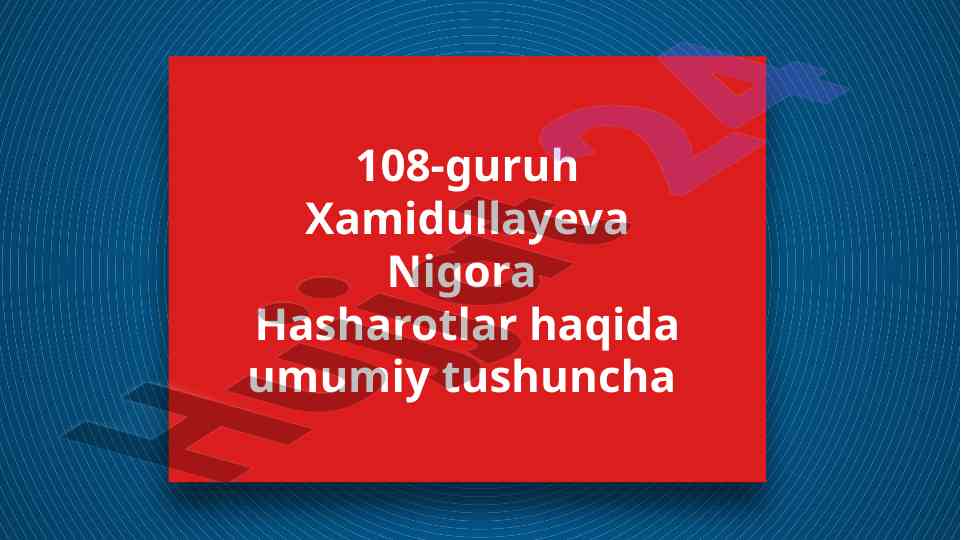Hasharotlar haqida umumiy tushuncha